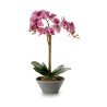 Plante décorative Orchidée 16 x 48 x 28 cm Plastique (4 Unités)