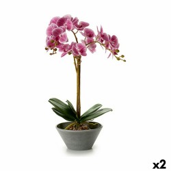 Plante décorative Orchidée...