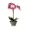 Plante décorative Orchidée 20 x 60 x 28 cm (2 Unités)