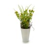 Plante décorative Fleur Plastique 12 x 30 x 12 cm (12 Unités)