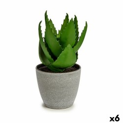 Plante décorative Aloe Vera...