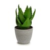 Plante décorative Aloe Vera 15 x 23,5 x 15 cm Gris Vert Plastique (6 Unités)