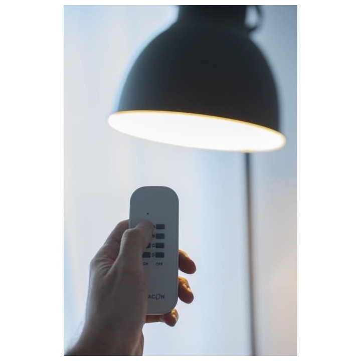 CHACON Set de 1 prise on / off + télécommande (3500 W - FR)