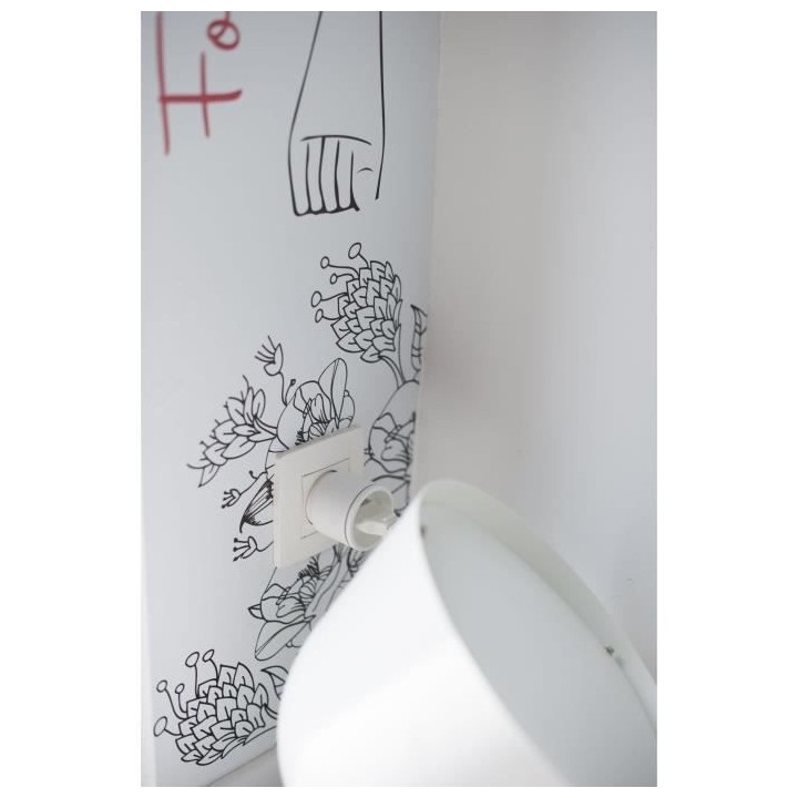 CHACON Kit 2 prises nano et télécommande -DiO (2300W, FR)