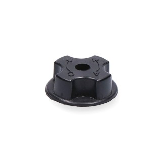 Carte postale microlorge