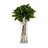 Branche Volets 80 cm Vert Plastique (12 Unités)