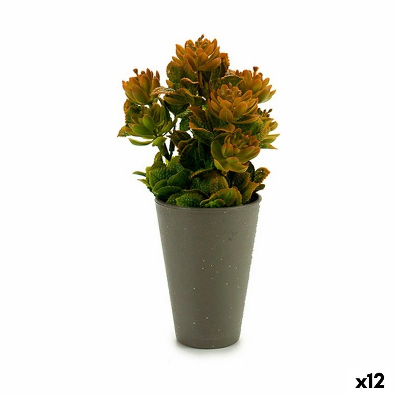 Plante décorative Plastique 10 x 22 x 10 cm (12 Unités)