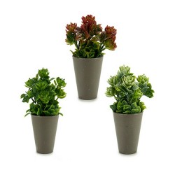 Plante décorative Plastique 10 x 22 x 10 cm (12 Unités)