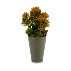 Plante décorative Plastique 10 x 22 x 10 cm (12 Unités)