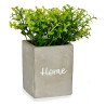 Plante décorative Home Gris Ciment Vert Plastique 13 x 20 x 13 cm (6 Unités)