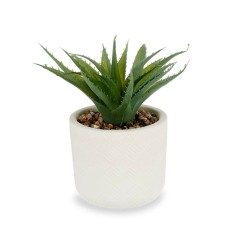 Plante décorative Succulent Plastique 14 x 18 x 14 cm (12 Unités)