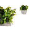 Plante décorative Fleurs Plastique 20 x 20,5 x 20 cm (8 Unités)