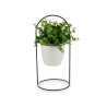 Plante décorative Volets Ronde Métal Plastique 21 x 30 x 21 cm (8 Unités)