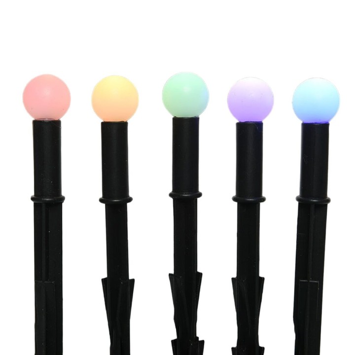 Carte postale microlorge