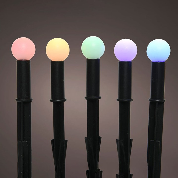 Carte postale microlorge