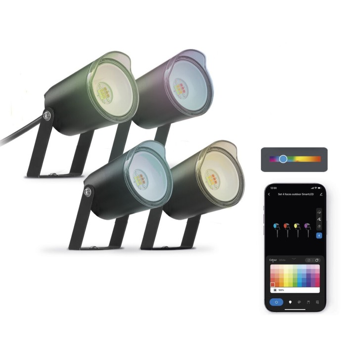 Carte postale microlorge