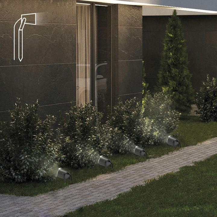 Carte postale microlorge