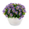 Plante décorative Marguerite Plastique 14 x 13 x 14 cm (12 Unités)