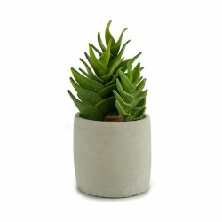 Plante décorative Succulent Plastique 12 x 24 x 12 cm (6 Unités)