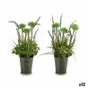 Plante décorative Lavande Métal Plastique 13 x 40 x 13 cm (12 Unités)