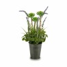 Plante décorative Lavande Métal Plastique 13 x 40 x 13 cm (12 Unités)