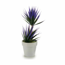 Plante décorative Succulent Céramique Plastique 10 x 30 x 10 cm (12 Unités)