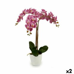 Plante décorative Orchidée...