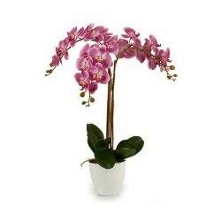 Plante décorative Orchidée Plastique 30 x 80 x 40 cm (2 Unités)