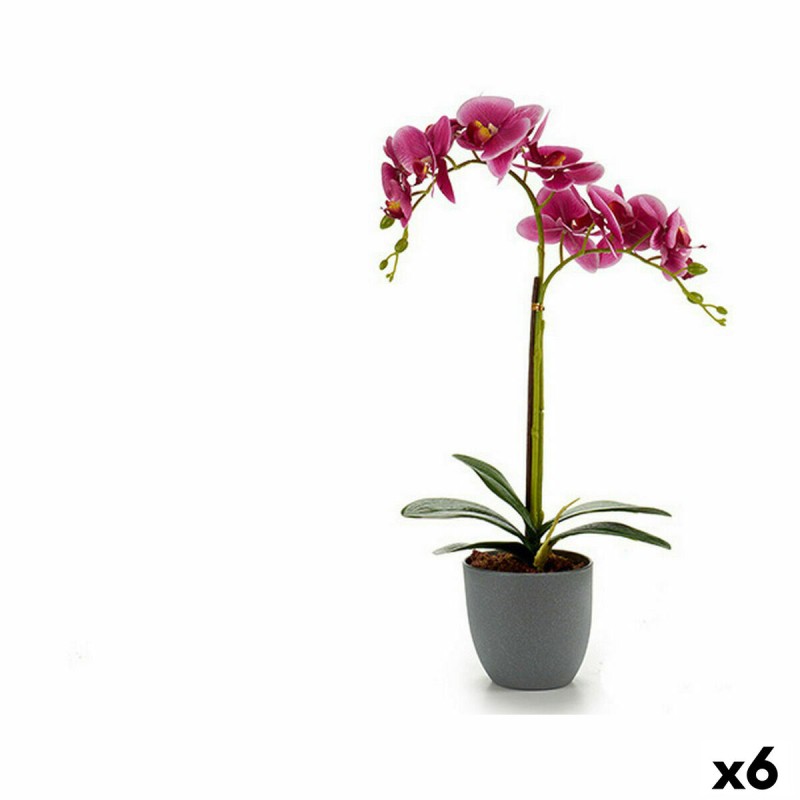 Plante décorative Orchidée Plastique 20 x 47,5 x 24 cm (6 Unités)