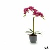 Plante décorative Orchidée Plastique 20 x 47,5 x 24 cm (6 Unités)