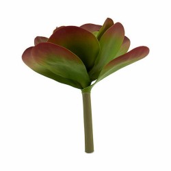 Plante décorative Volets Grand Bicolore Plastique 27 x 29 x 27 cm (6 Unités)