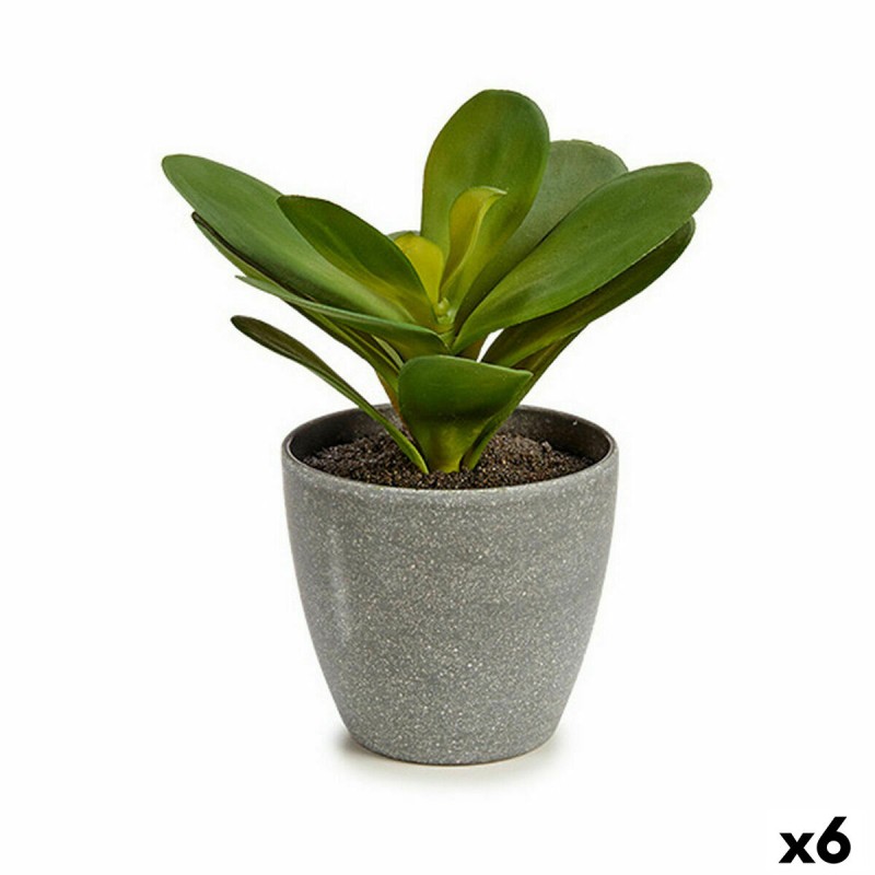 Plante décorative Volets Ronde Plastique 11 x 15 x 11 cm (6 Unités)