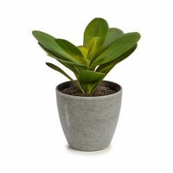 Plante décorative Volets Ronde Plastique 11 x 15 x 11 cm (6 Unités)