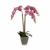 Plante décorative Orchidée Plastique 33 x 77 x 33 cm (2 Unités)