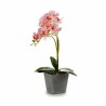 Plante décorative Orchidée Plastique 20 x 47 x 33 cm (4 Unités)