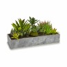 Plante décorative Succulent Plastique Ciment 10 x 14,5 x 30,5 cm (12 Unités)