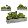 Plante décorative Succulent Plastique Ciment 10 x 14,5 x 30,5 cm (12 Unités)