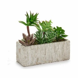 Plante décorative Succulent Plastique 9 x 19 x 21,5 cm (8 Unités)