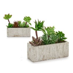 Plante décorative Succulent Plastique 9 x 19 x 21,5 cm (8 Unités)