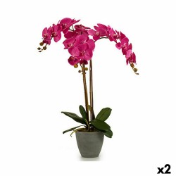 Plante décorative Orchidée...