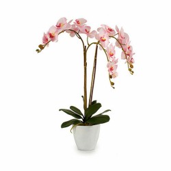 Plante décorative Orchidée Plastique 40 x 77 x 35 cm (2 Unités)