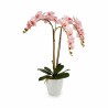 Plante décorative Orchidée Plastique 40 x 77 x 35 cm (2 Unités)