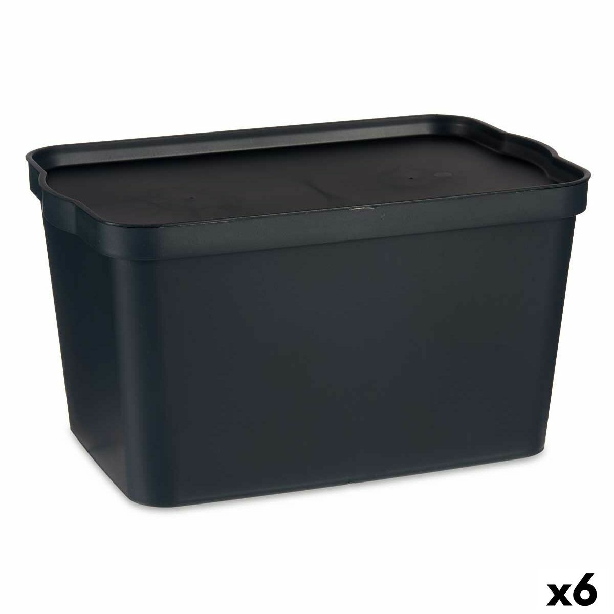 /338779/boite-de-rangement-avec-couvercle-anthracite-plastique-24-l-29-3-x-24-5-x-45-cm-6-unites.jpg