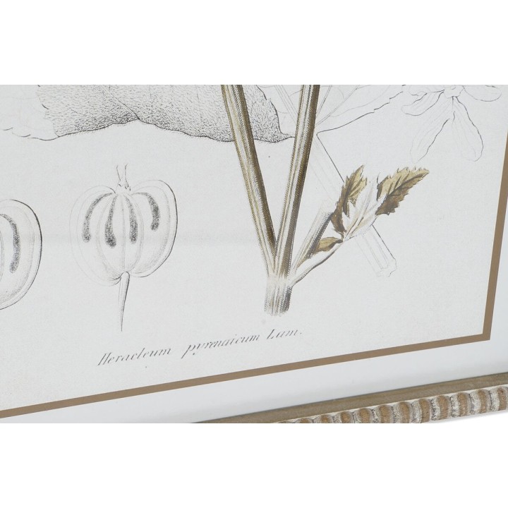 image imprimée ou numérique