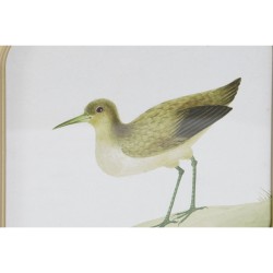 Cadre DKD Home Decor Oiseaux Cottage 30 x 2 x 30 cm (6 Unités)