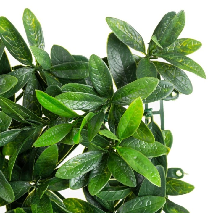 image imprimée ou numérique