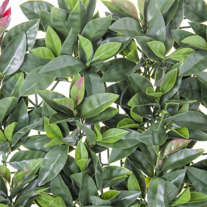 Carte postale microlorge