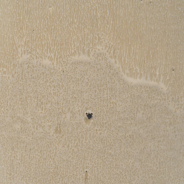 image imprimée ou numérique