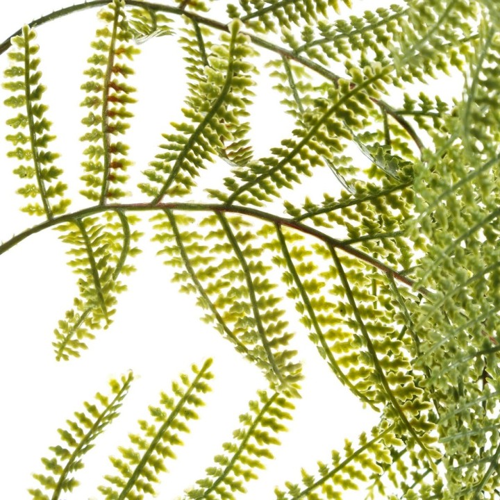 image imprimée ou numérique