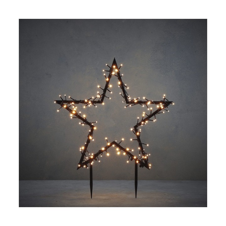 Carte postale microlorge